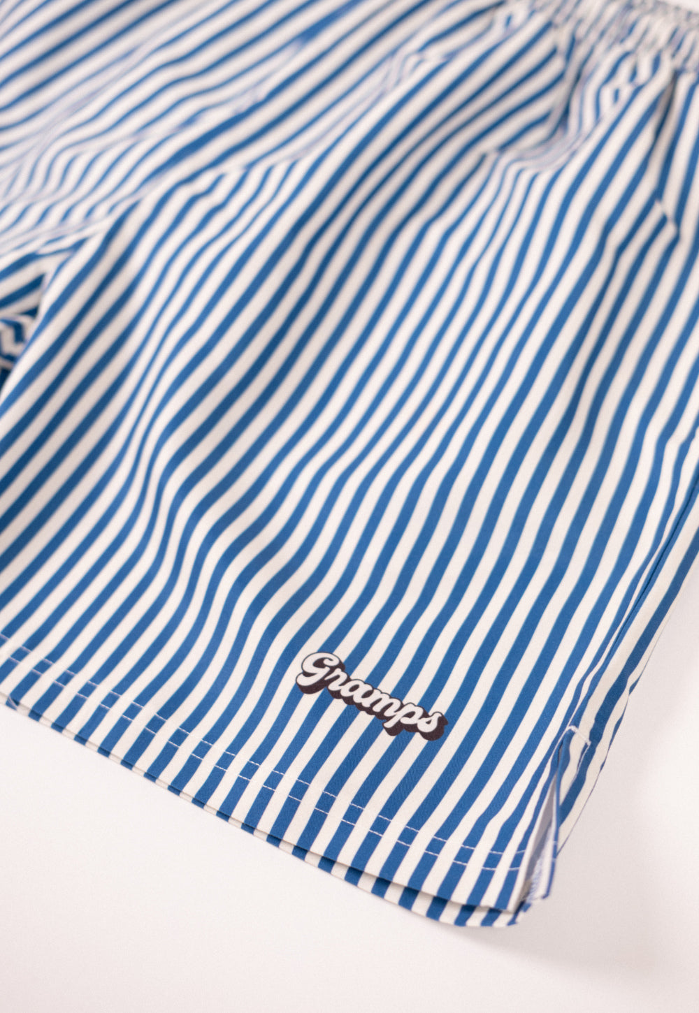 Striped Swim Shorts